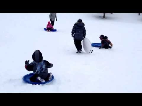 2014.01.11.  Brothers      King's Park, Toboggan.