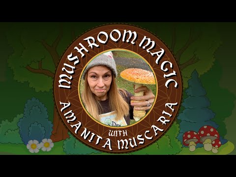 An Introduction to Amanita: Mushroom Magic with Amanita Dreamer