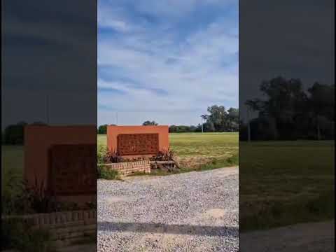 Video de WhatsApp 2025 10 27 a las 18 54 36 b569af8d