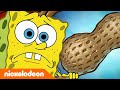 SpongeBob | SpongeBob veroorzaakt een oesterramp! | Nickelodeon Nederlands