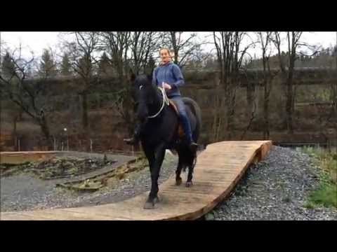 Extreme Trail Pauwels - Dezembertraining