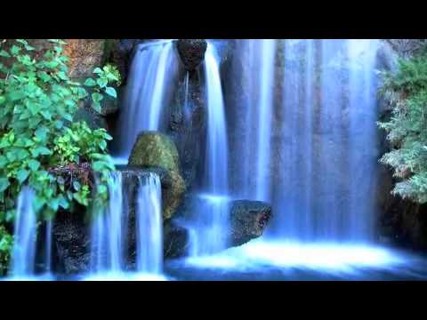 Alessandra Samadello- Meu mundo nao é aqui