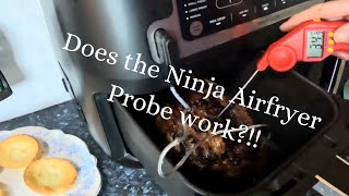 Sunday Pork Roast in the Ninja Airfryer AF451 - does the probe work?!