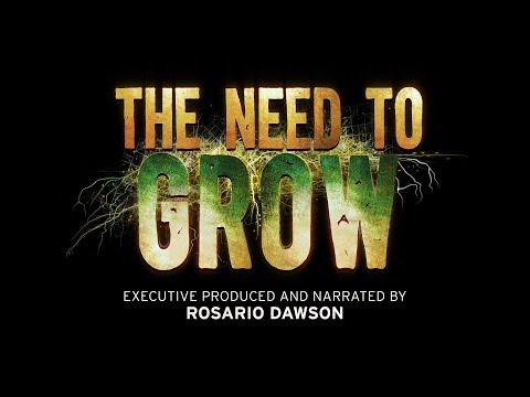 Thumbnail of the video: The Need To GROW Official Trailer 2019