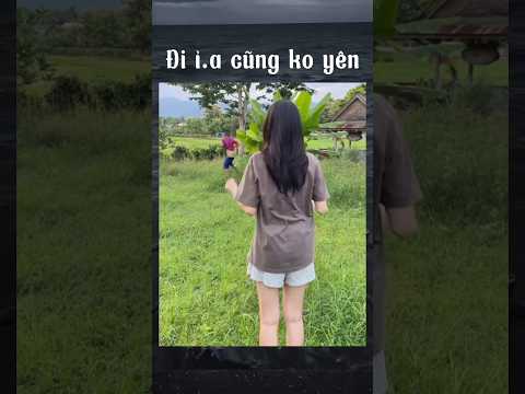 cái gì trong bụi chuối vậy 🤣 #funnymemes #memes #shorts