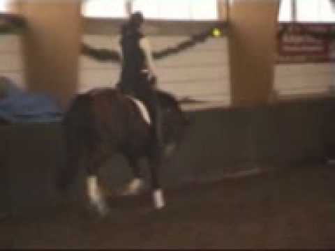 Chico_Chocolate 1.mpg