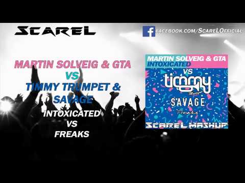 Martin Solveig & GTA VS Timmy Trumpet & Savage - Intoxicated VS Freaks (ScareL Mashup)