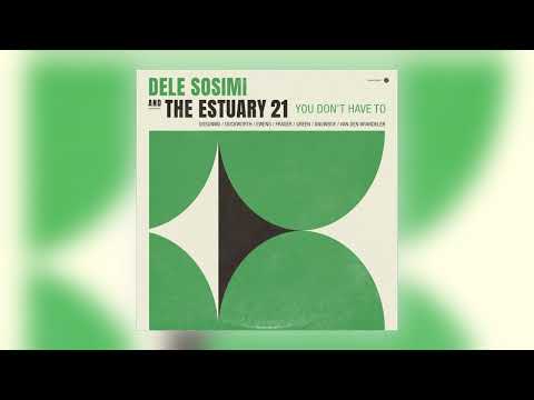 Dele Sosimi & The Estuary 21 - You Don't Have To [Audio]