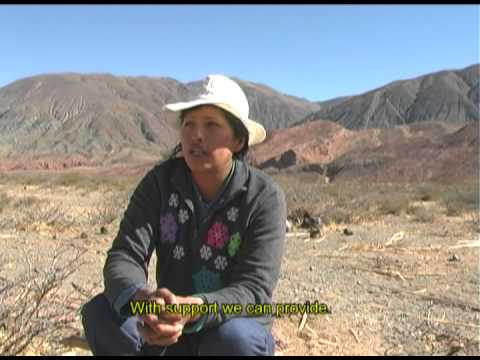 WATER CAPTURE FOR ANDEAN FAMILIES