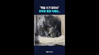 "죽일 수가 없어서 그랬어" #shorts