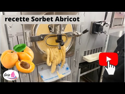 La recette ultime du sorbet abricot parfait !