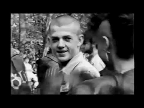 SIEKIERA - na żywo "Idzie Wojna" Jarocin Festiwal 1984 (Duża Scena)