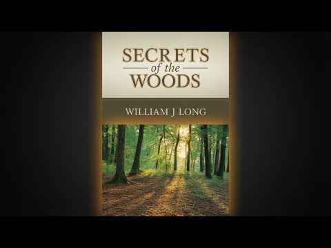 Secrets of the Woods by William J Long — free full audiobook