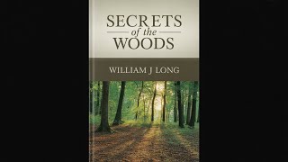 Secrets of the Woods