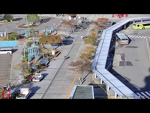 函館駅前ライブカメラ②のライブ配信を再生のプレビュー画像