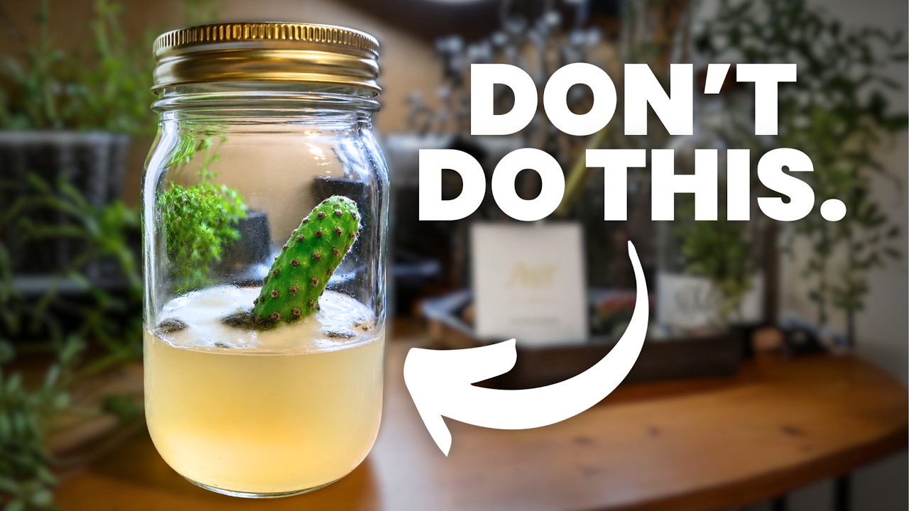 10 Tissue Culture Mistakes ALL Beginners Make