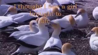 James TW- Torn Lyric Video