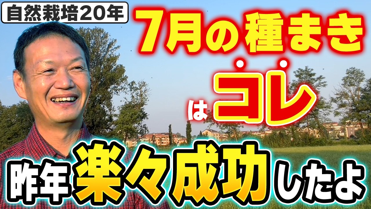 自然栽培で育てる7月の種まき野菜|おすすめ品目と今橋さんの実践記録