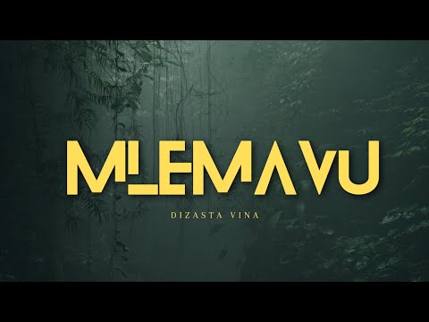 Dizasta Vina - Mlemavu