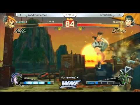 SSF4AE2012 AVM GamerBee vs NYChrisG - WNF Pre SCR 2014