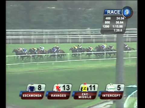 Singapore Gold Cup 2010 (Risky Business)