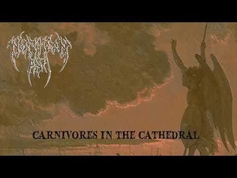 Northern Ash - Carnivores in the Cathedral
