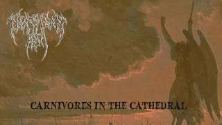 Northern Ash - Carnivores in the Cathedral