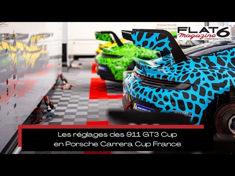 Thumbnail for Les réglages des 911 GT3 Cup en Porsche Carrera Cup France by Porsche Carrera Cup France