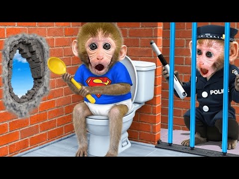 TuTi Monkey Life and Mr BonBon