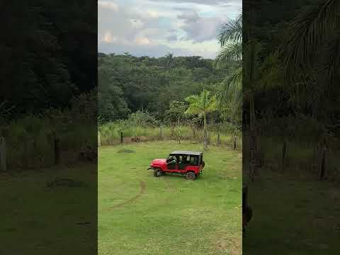 meu irmão em Cristo Eduardo de catas altas Minas Gerais montou o seu próprio jeep #motivar #jeep