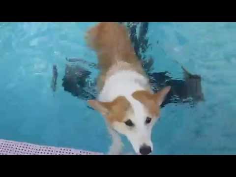 グリュ　10th　Birthday♪　 プール三昧