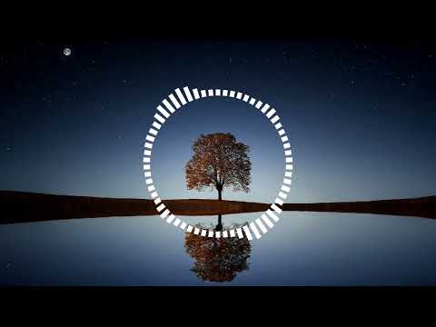 ⚡️💥 Dorian Popa feat  YNY Sebi - La Dans (Slowed+Reverb) 💥⚡️