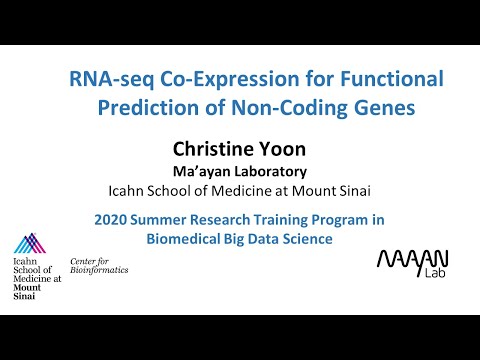RNA-seq Co-Expression for Functional Prediction of Non-Coding Genes