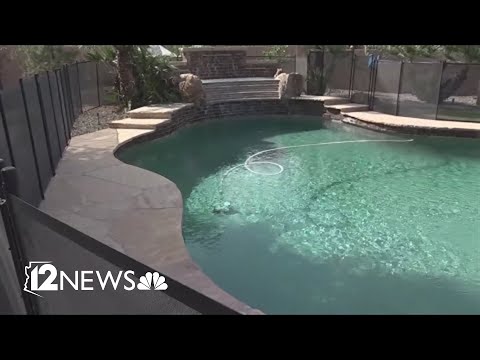 TikTok star's son dies after drowning in family's pool