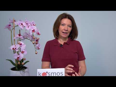 Kosmos Apotheke Ratgeber - Folge 003 - Insektenschutzmittel