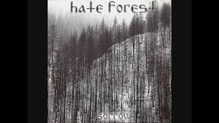 Music video thumbnail preview for Hate Forest - Cold of the Grave by Hate Forest