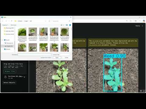 Weed Detection in Python Projects