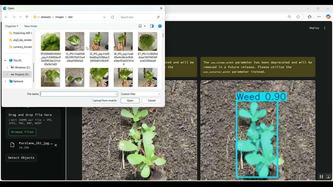 Weed Detection in Python Projects