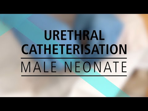 Urethral Catheterisation  - Male Neonate
