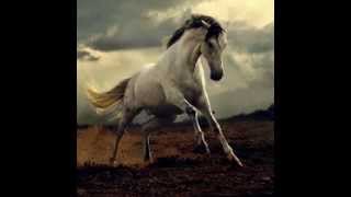 Rata Blanca - Caballo Salvaje