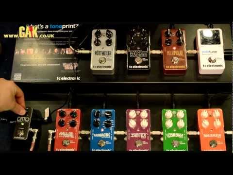 TC Electronic - Ditto Looper Demo at GAK ft. Flashback and Shaker Pedals
