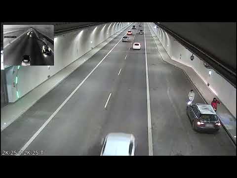 Takie barany odwiedzają Podhale