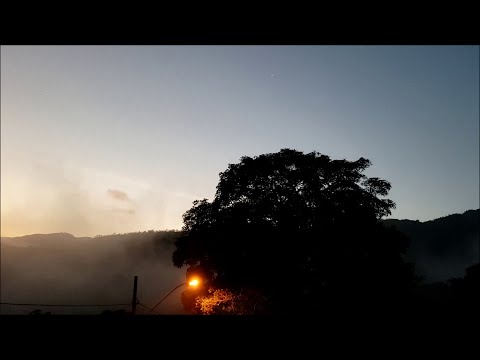 Lockwood, Catherine & Escoude plus Grappelli, Paris (1984)