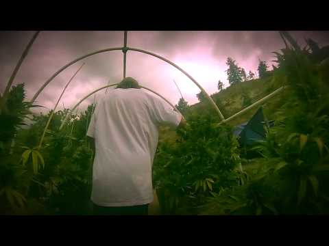 Rylan Mclaren - "BOOM BAP RAP" (OFFICIAL MUSIC VIDEO) (DIR. by GBP)