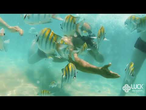 Piscinas Naturais do Extremo Oriental | Luck Receptivo João Pessoa