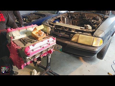 PINK in the STINK | Sh!thorse 6.0 LS Engine Install + 2 NEW Channel Projects (possibly)
