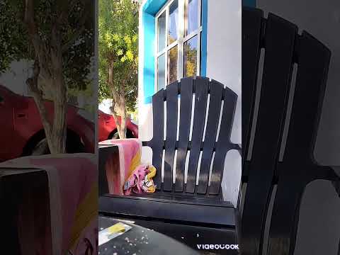 La leyenda de la solapa en Entre Ríos! By. Ema Lovet