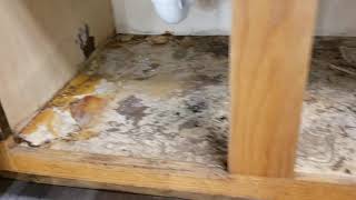 DIY Landlord: How To Repair Kitchen Cabinet Floor Under Sink After a Water Leak Quick and Easy.
