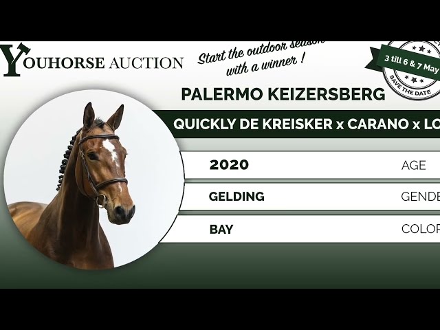 Palermo Keizersberg showvideo outdoor