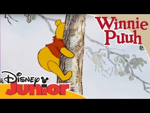 Kleine Abenteuer mit Winnie Puuh - Auf den Honigbaum hinauf | Disney Junior
